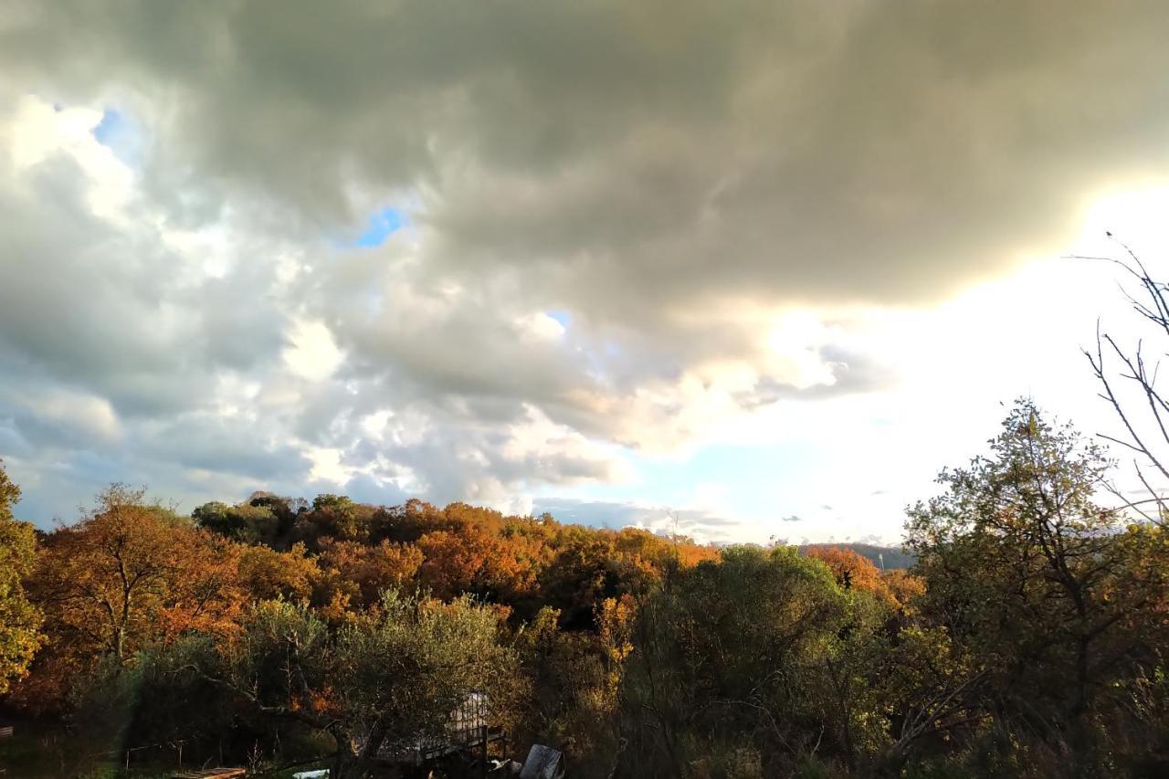 Castel Giuliano Agriturismo Tenuta Monte La Guardia מראה חיצוני תמונה